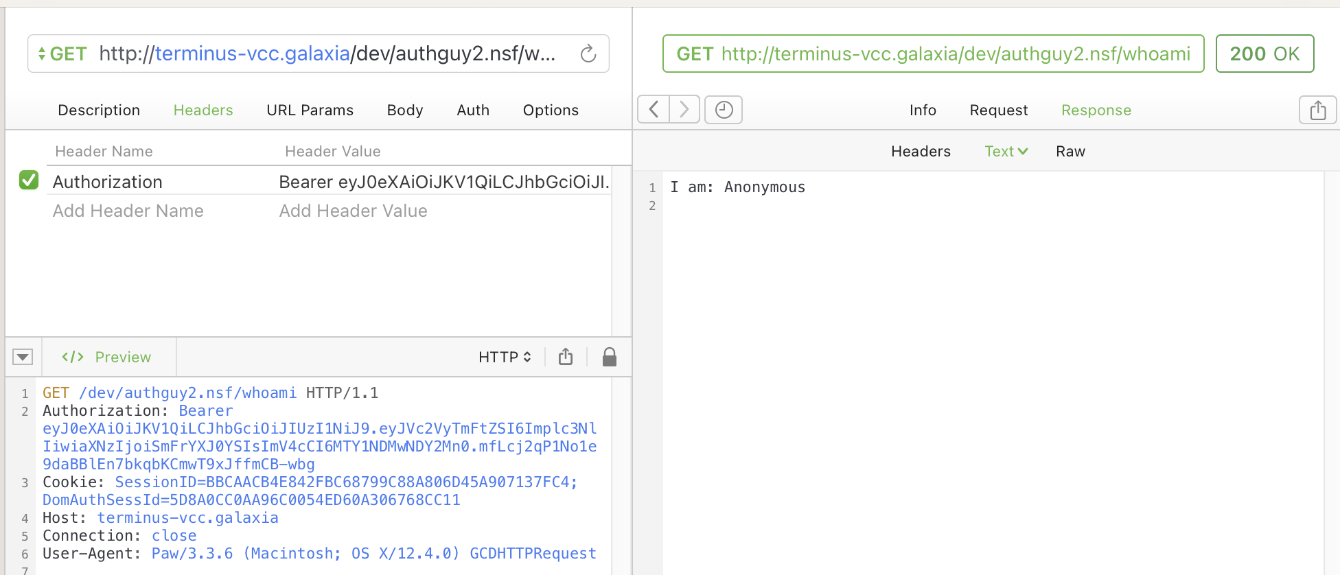 JWT ignored by a different endpoint
