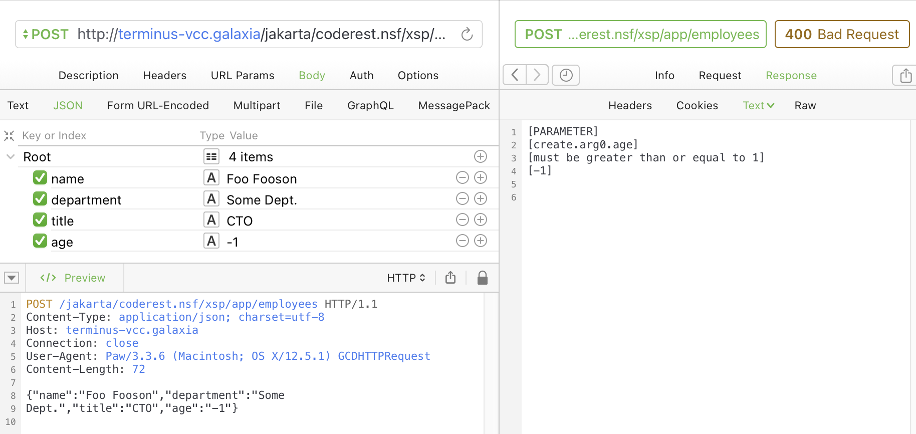 Trying to create an invalid Employee entity