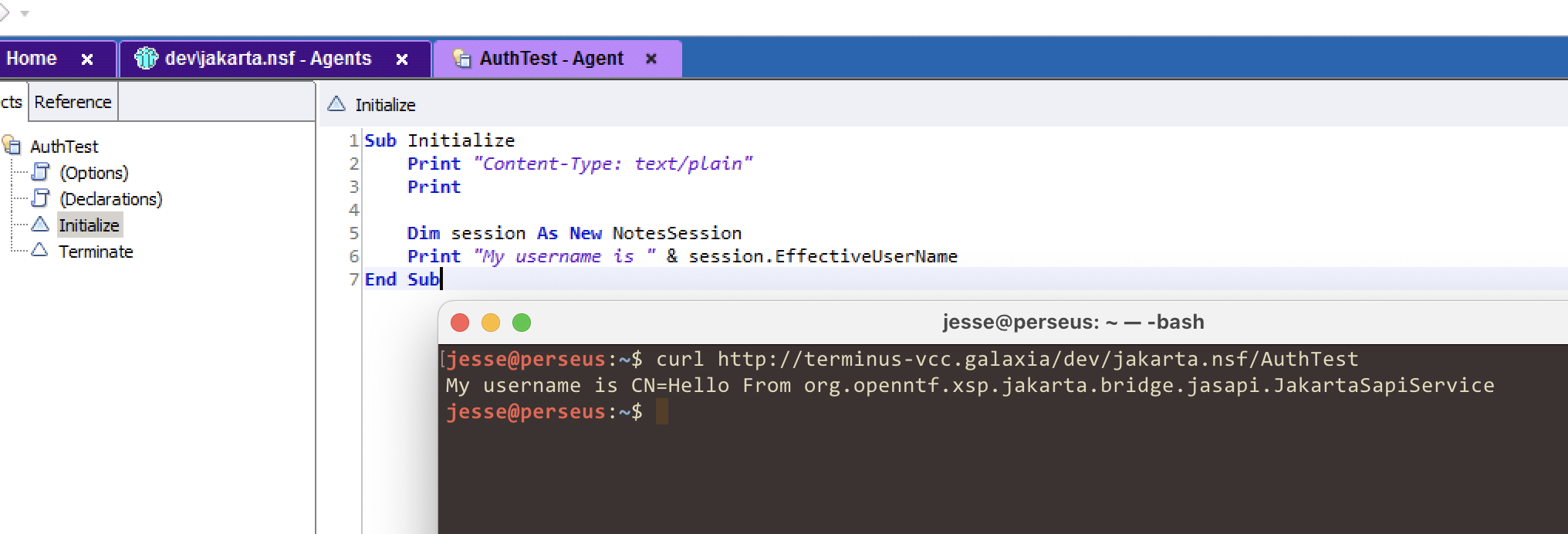 Screenshot showing JavaSapi authentication in action
